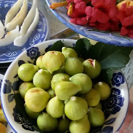 Depandance Del Leone Di Mare