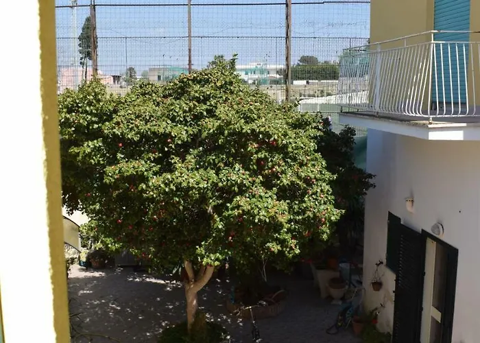 Depandance Del Leone Di Mare 아파트 프로치다