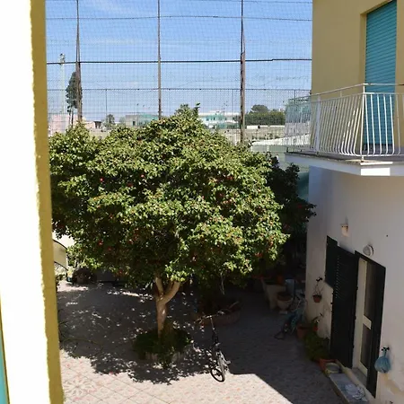 Depandance Del Leone Di Mare Apartamento Procida