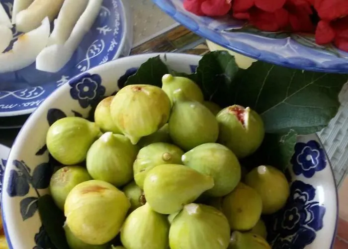 Depandance Del Leone Di Mare